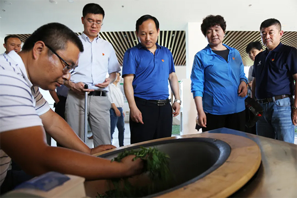 参观手工炒制绿茶